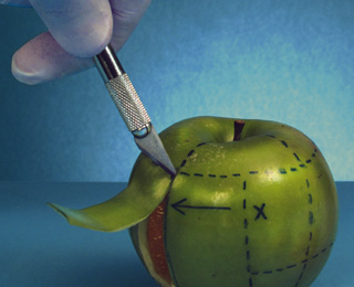 短信网页在线轰炸